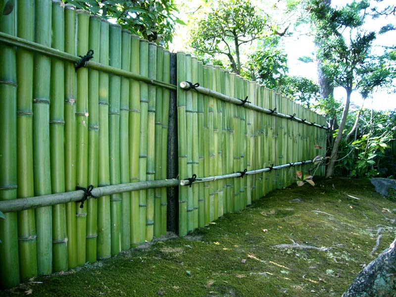 Jasa Pasang Pagar Bambu di Bali